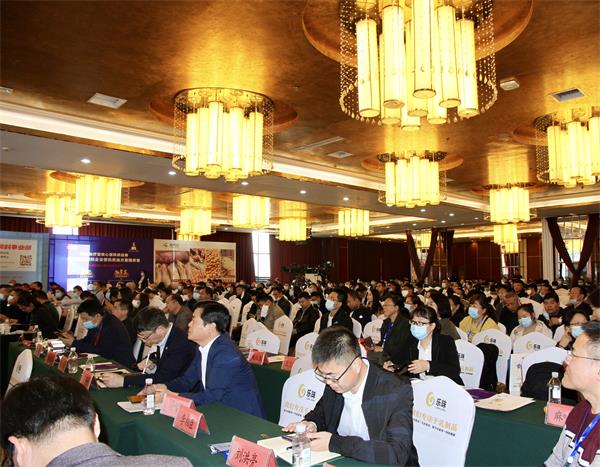 壹定发(中国游)最新官方网站