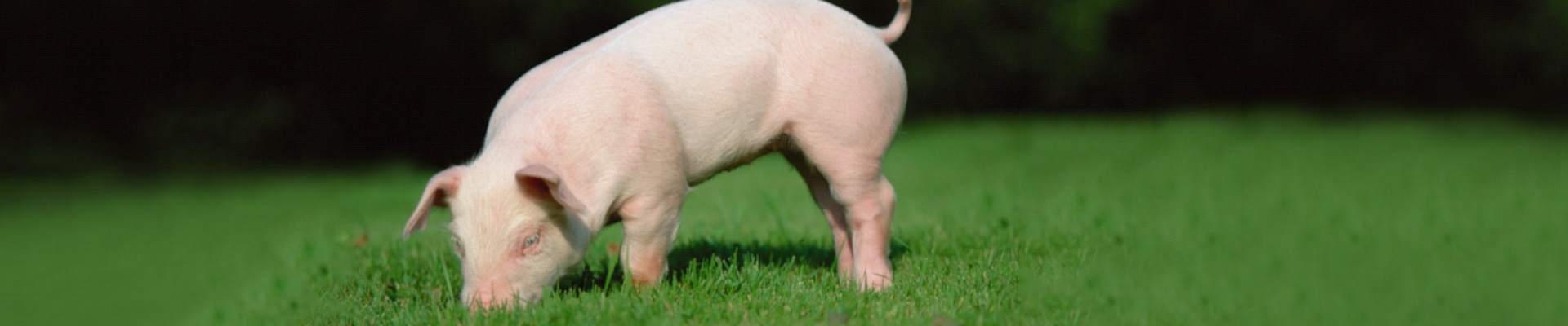 壹定发(中国游)最新官方网站