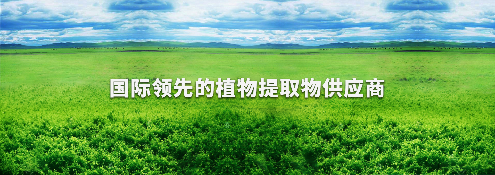 壹定发(中国游)最新官方网站