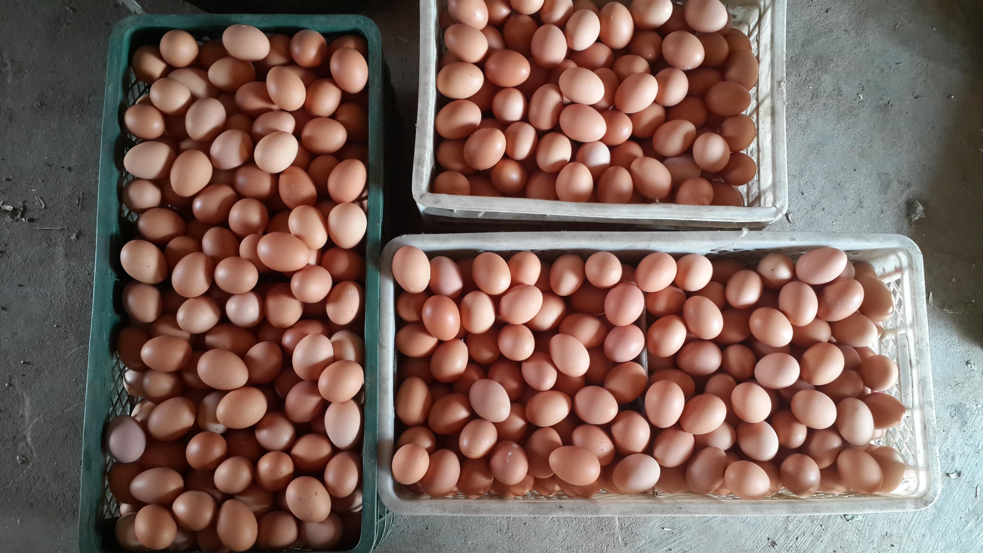 壹定发(中国游)最新官方网站