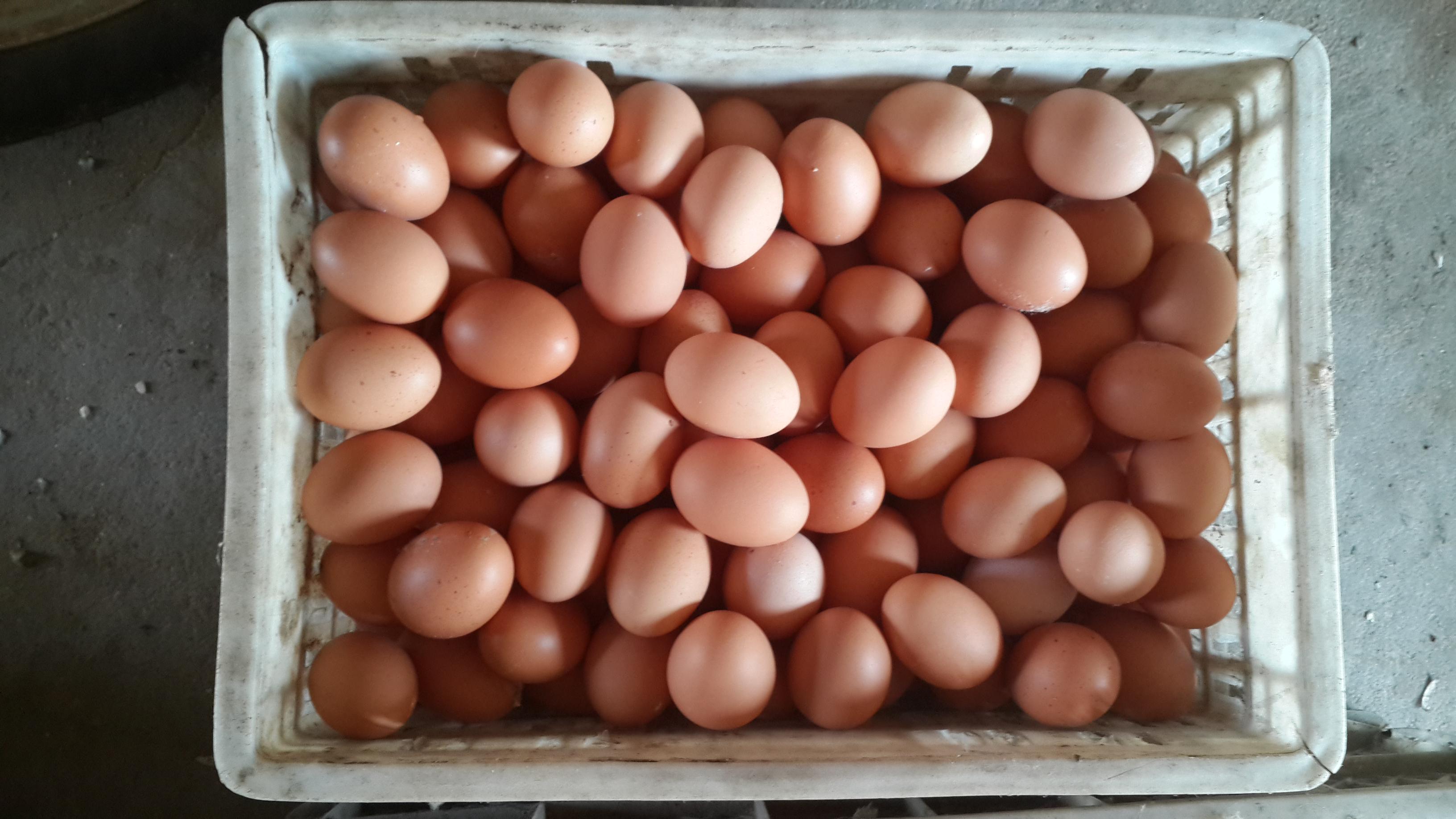 壹定发(中国游)最新官方网站