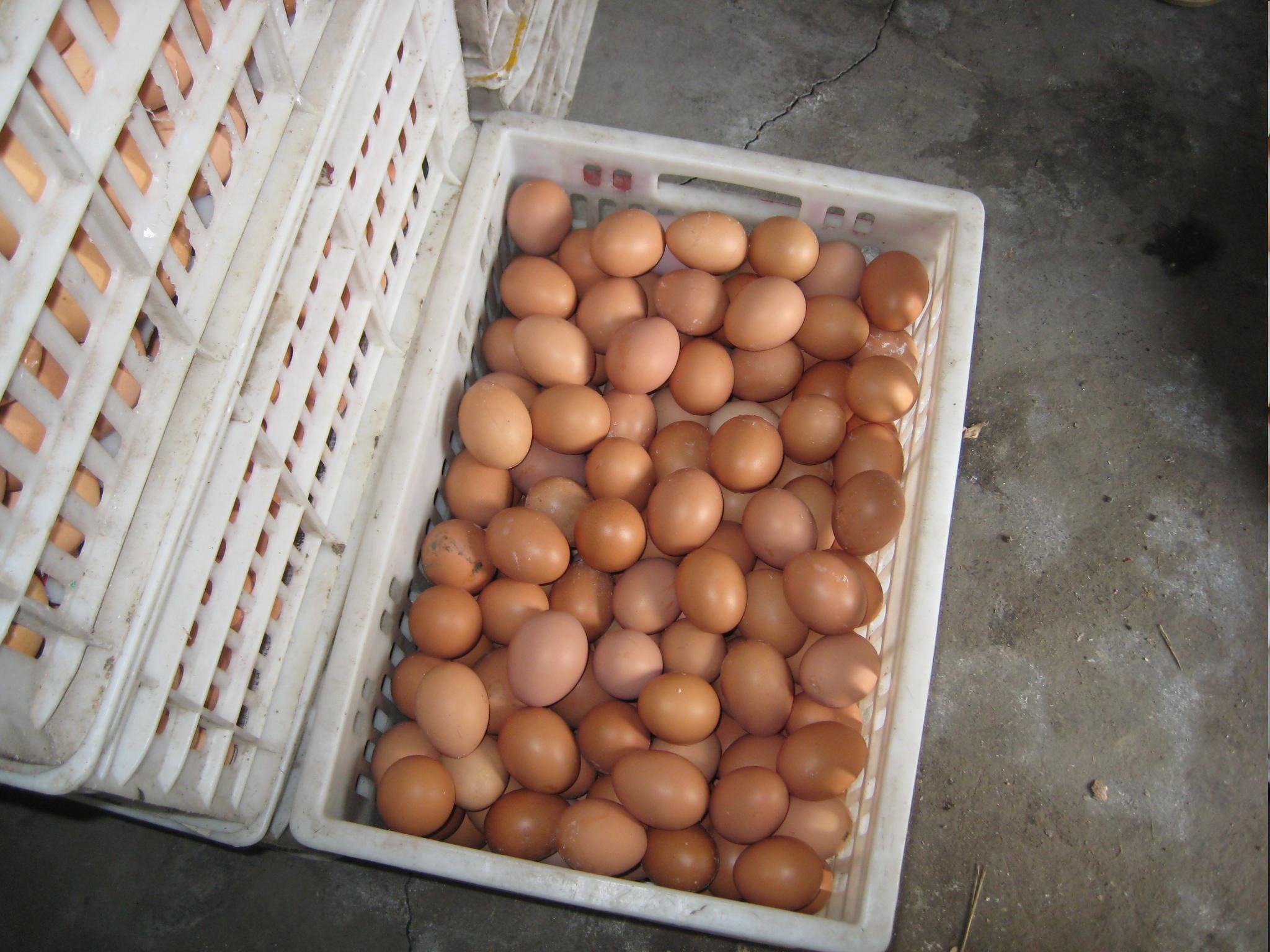 壹定发(中国游)最新官方网站