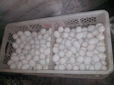 壹定发(中国游)最新官方网站