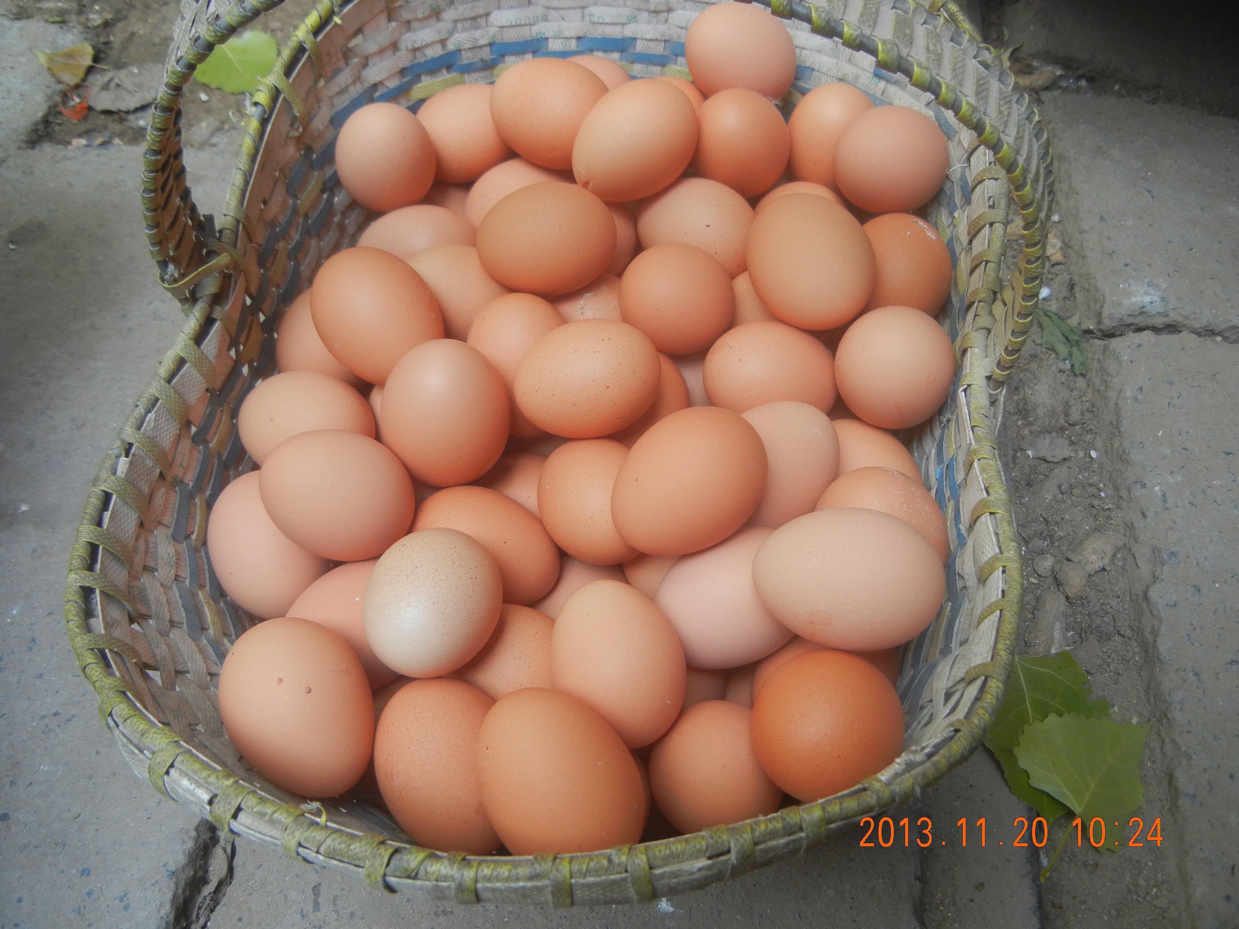 壹定发(中国游)最新官方网站