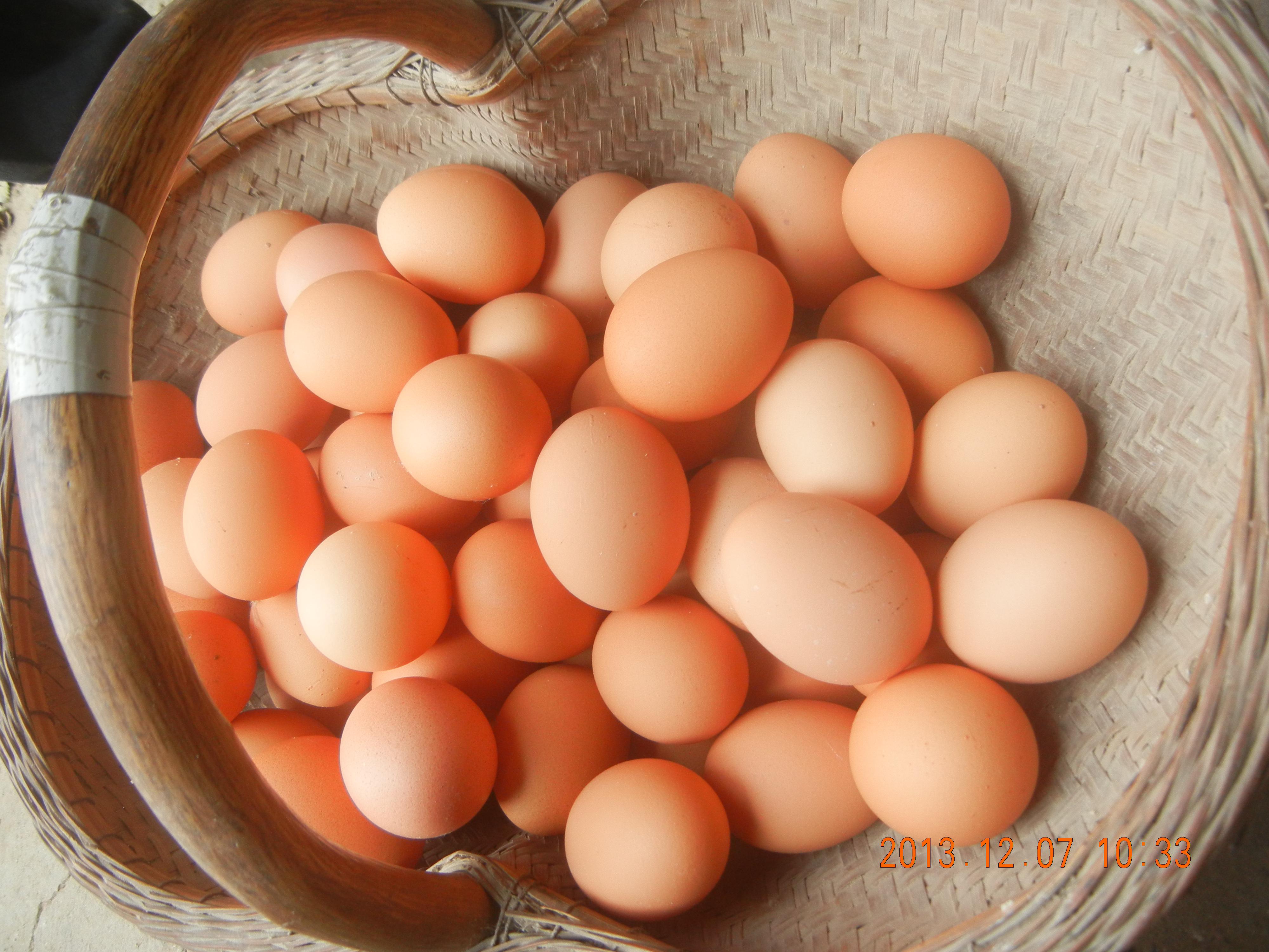 壹定发(中国游)最新官方网站