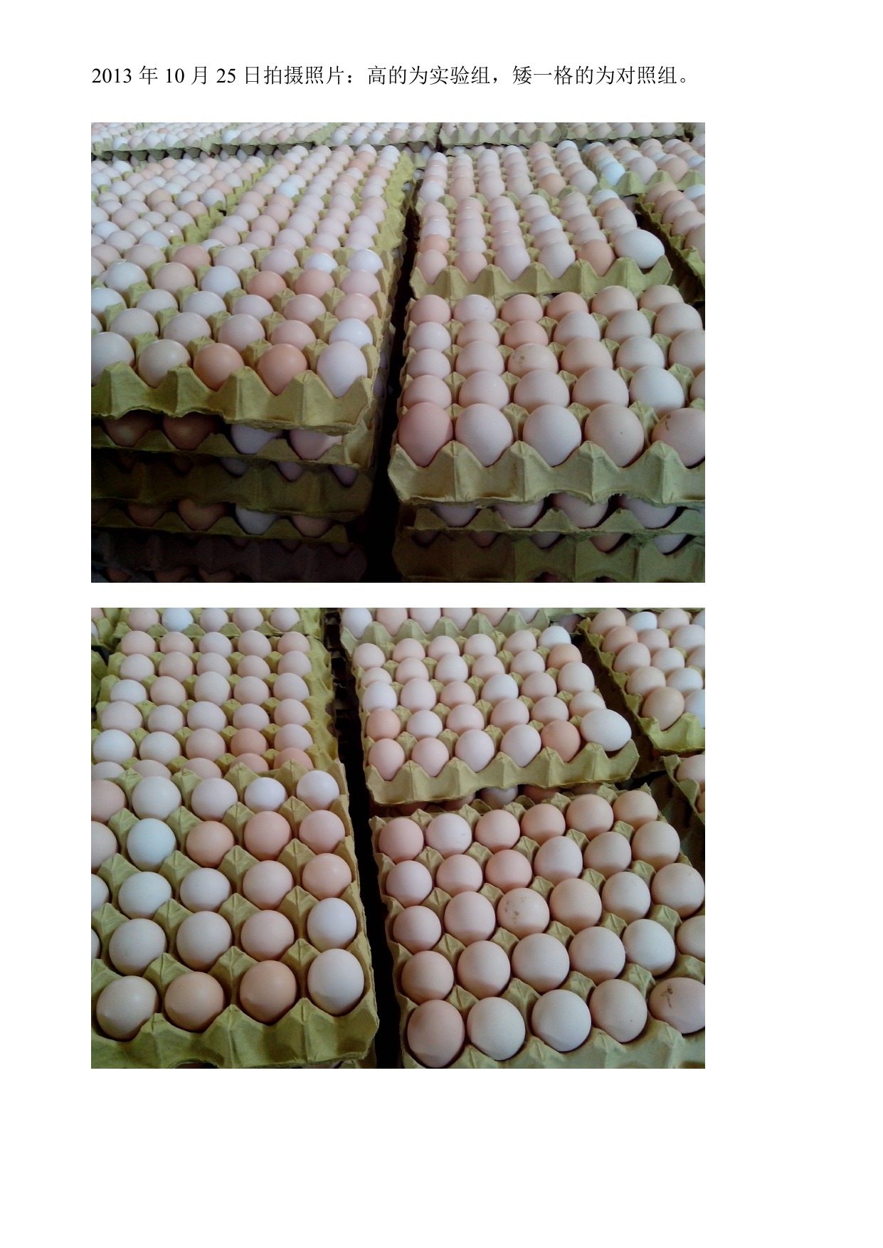 壹定发(中国游)最新官方网站