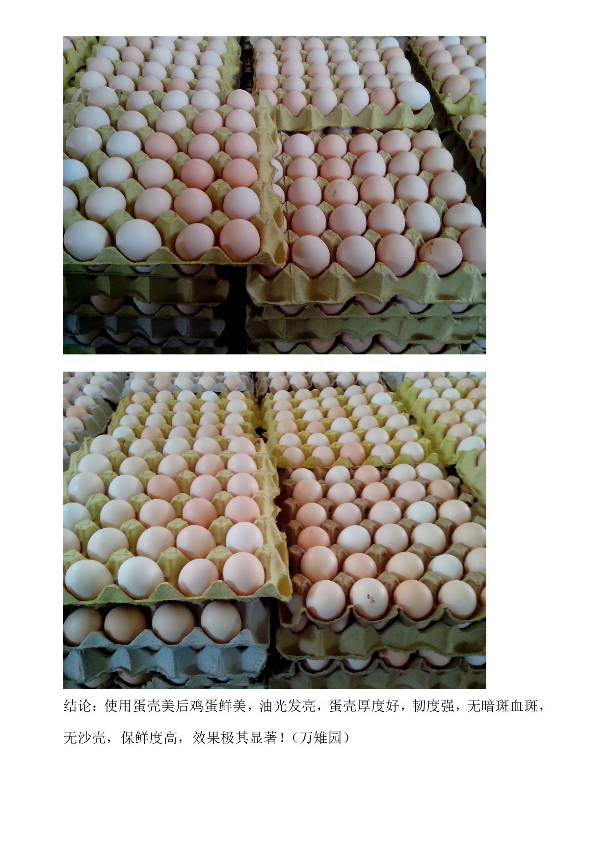 壹定发(中国游)最新官方网站