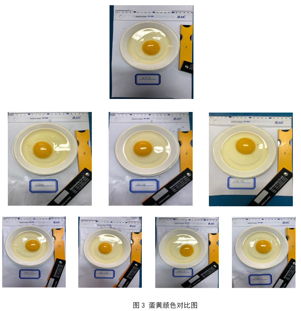 壹定发(中国游)最新官方网站
