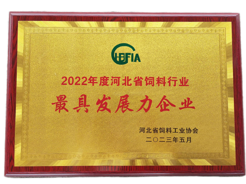 壹定发(中国游)最新官方网站