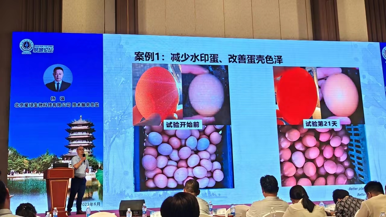 壹定发(中国游)最新官方网站