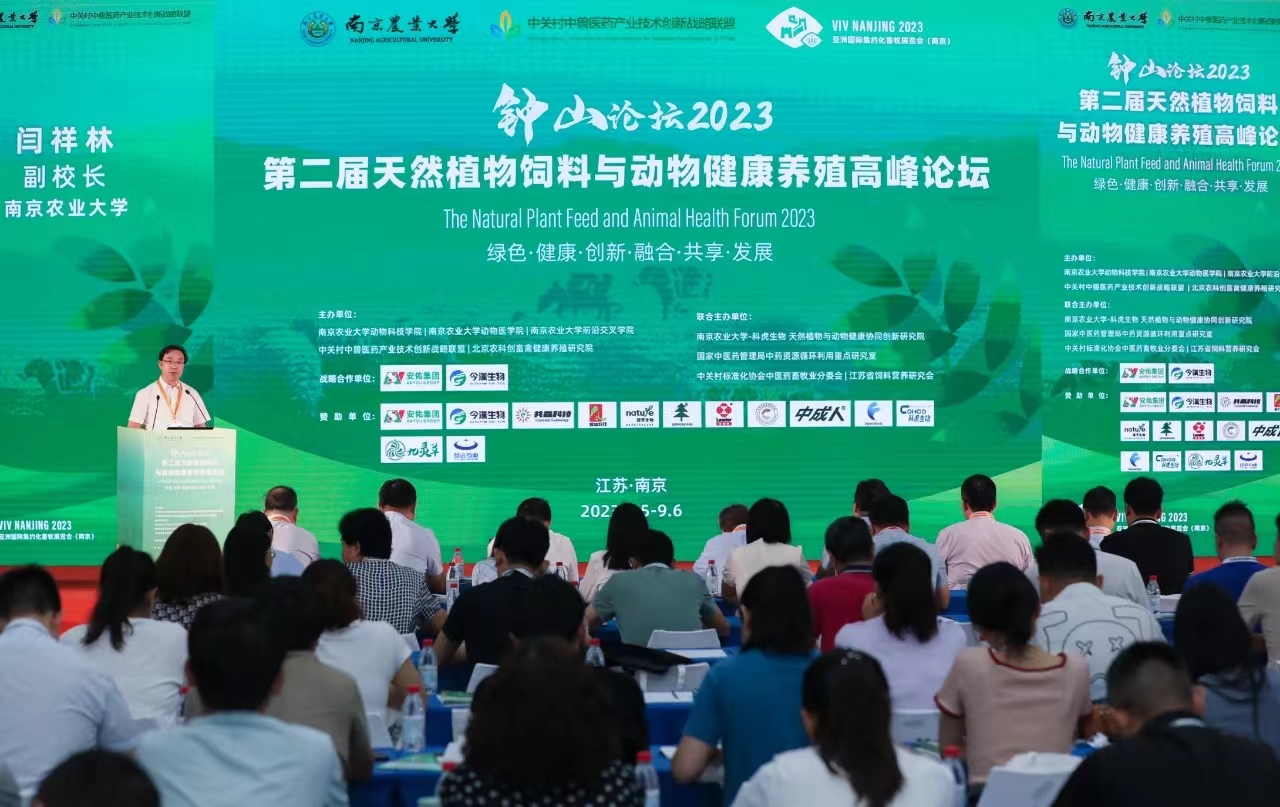 壹定发(中国游)最新官方网站