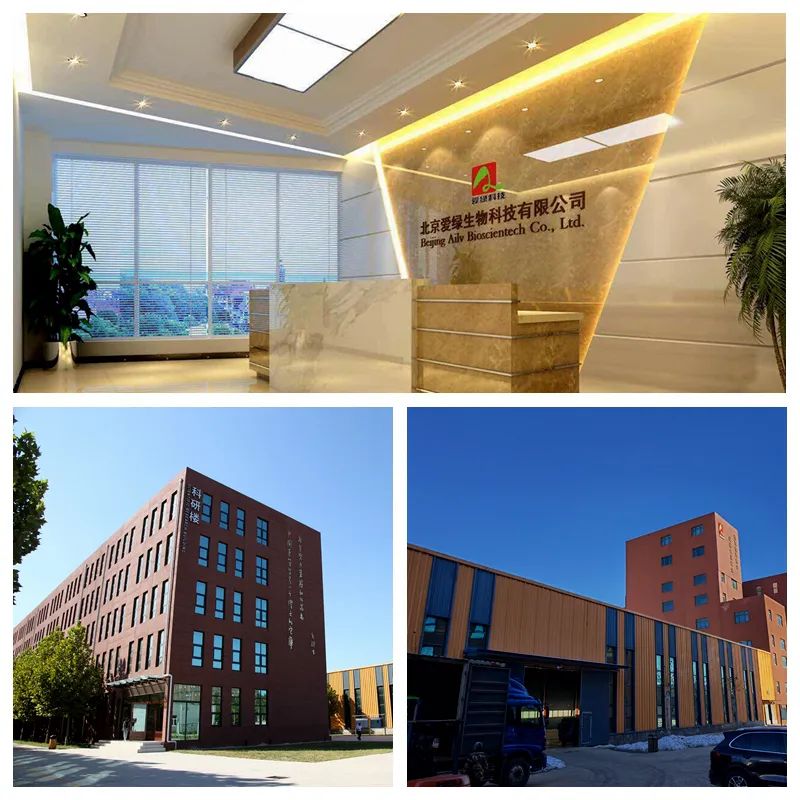 壹定发(中国游)最新官方网站